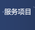 服务项目
