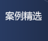 案例精选